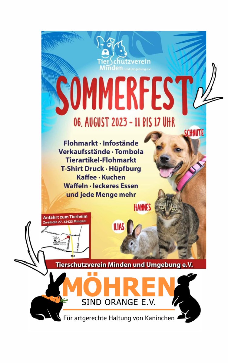 mso_eV's tweet photo. Wir freuen uns auf euch in #Minden! 🧡🐇 https://t.co/7pA6luFUg5
