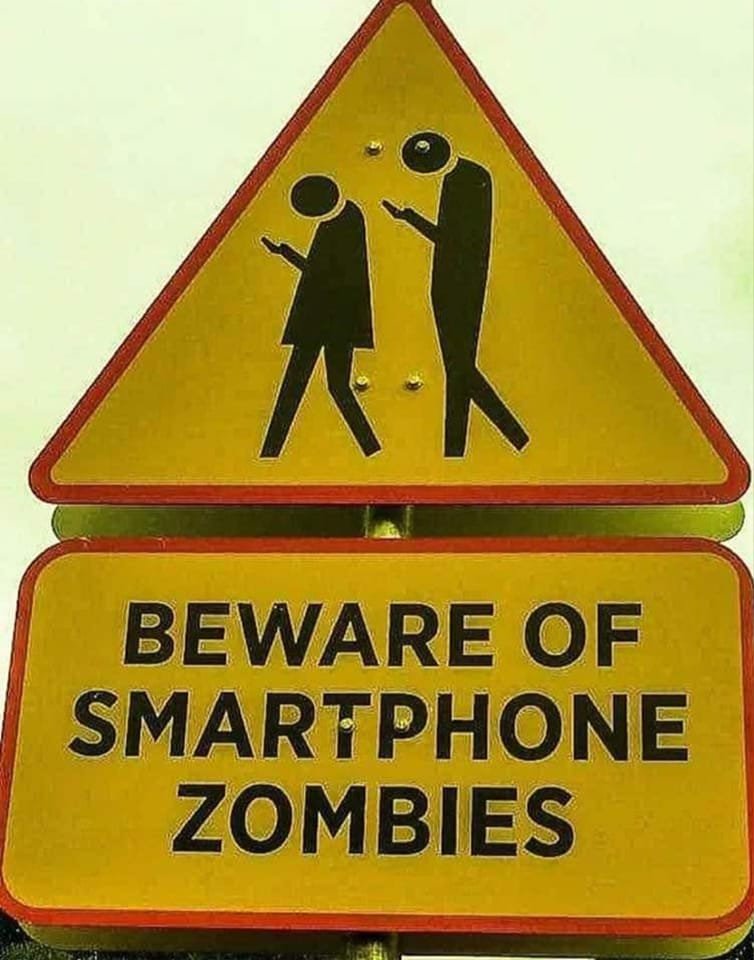 tmccull603's tweet photo. Don't know if this street sign is real, but it sure it accurate! I'm a fellow pedestrian, and these #PhoneZombies annoy me so much! They are dangerous to drivers. From Facebook user Sean Treacy. https://t.co/1KezTE5pB6