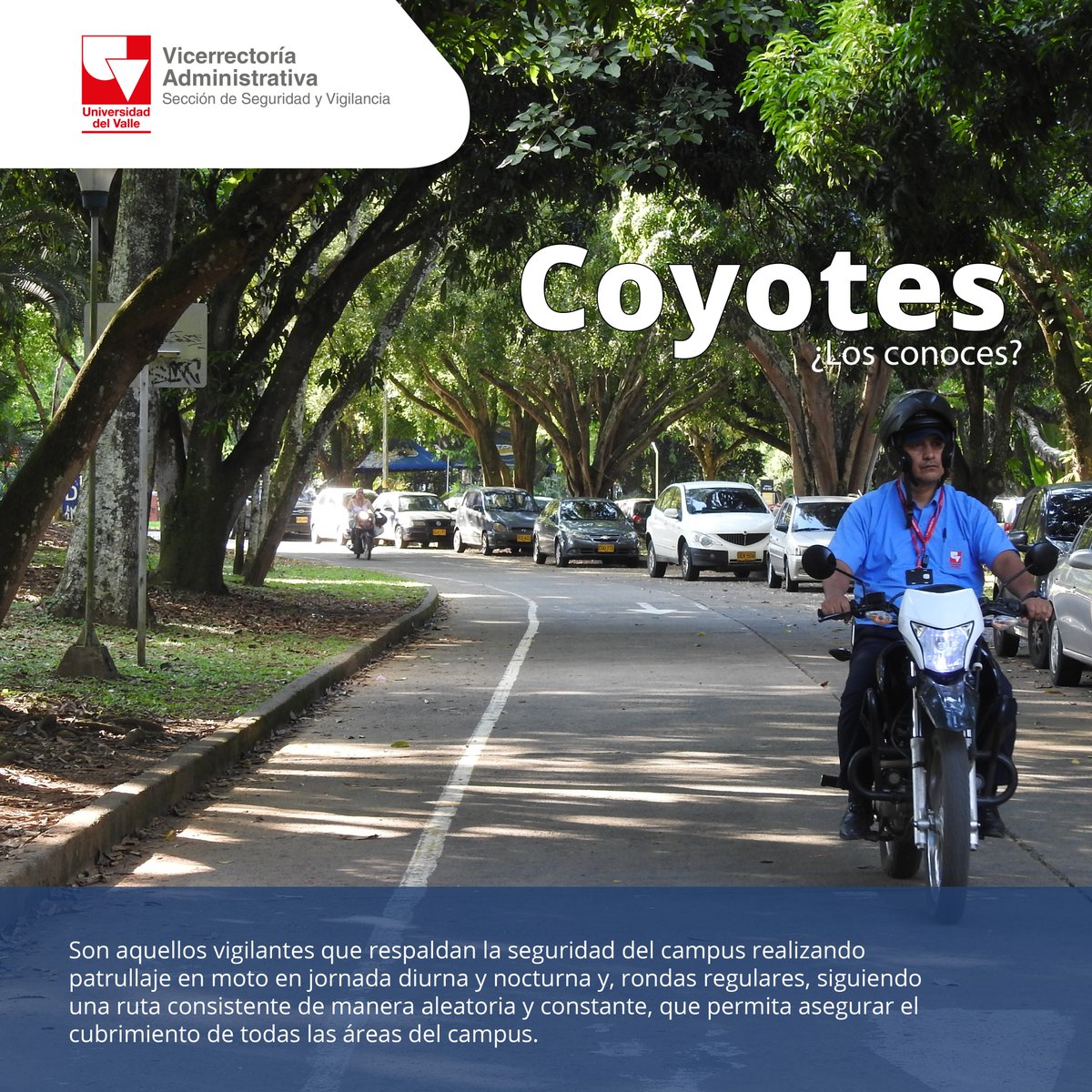 sunivalle's tweet photo. Los vigilantes que realizan la labor de Coyotes son fundamentales para la necesidad del servicio de vigilancia en la Universidad. https://t.co/YMTw4t6nlF