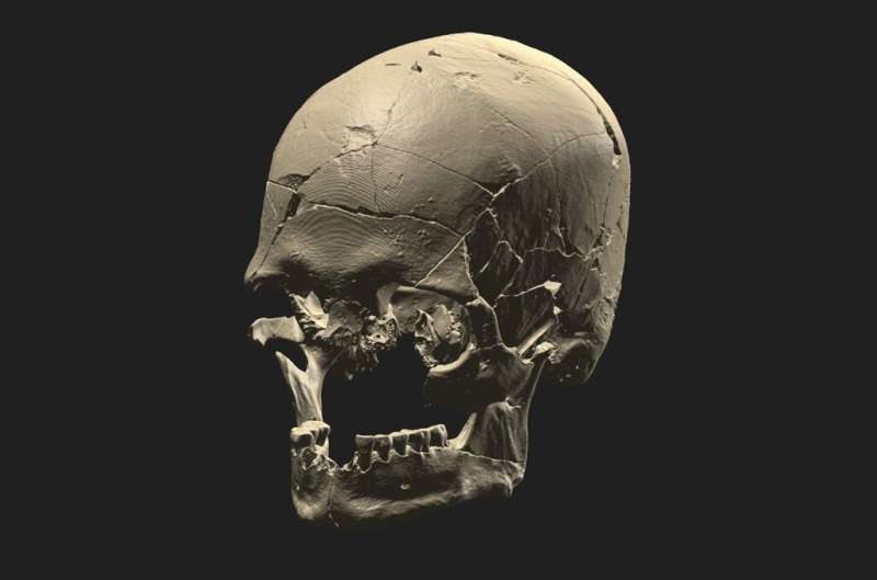 📢 New insights into the genomic history of South America!
Large set of genome-wide data from 34 ancient individuals, up to 1OK years old, reveals that #Sambaqui societies did not constitute a genetically homogenous population, as previously suggested.
👉 sgn.one/z9w