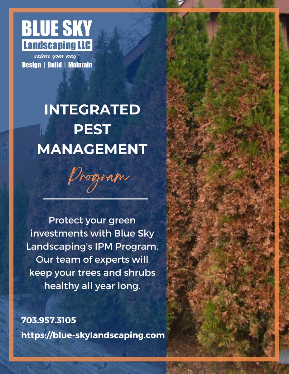 BlueSkyLScaping's tweet photo. A pest-free, healthy environment is where we all want to live. Our commitment to this ideal starts with great service, quick response times, and impeccable follow-through
Contact us today, and let us protect your landscape.
(703) 957-3105
#lawncare #pestcontrol #IPMProgram https://t.co/c4YNzocmxQ