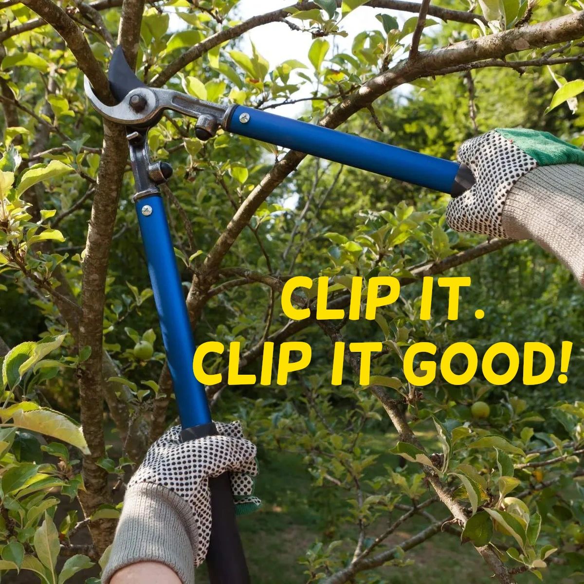 JonesAutoParts's tweet photo. When a problem comes along, you must trim it! We've got everything you need for a perfectly manicured lawn this summer. https://t.co/bLwOaYralP