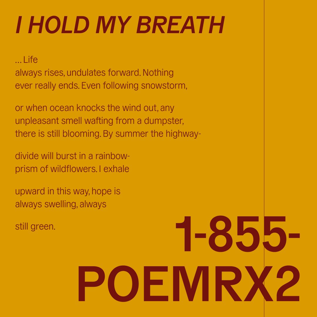 phlcontemporary's tweet photo. This week on the Healing Verse Poetry Line, Alison Lubar reads I hold my breath.

Dial for some care and healing today! 
Call 1-855-POEMRX2 (1-855-763-6792) https://t.co/65lXCOkUtp