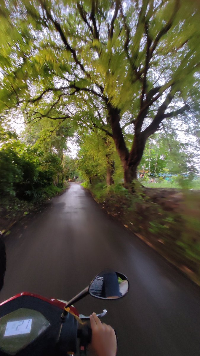 Varadvlogs11's tweet photo. Into the green 💚#india https://t.co/LLIRpVNima