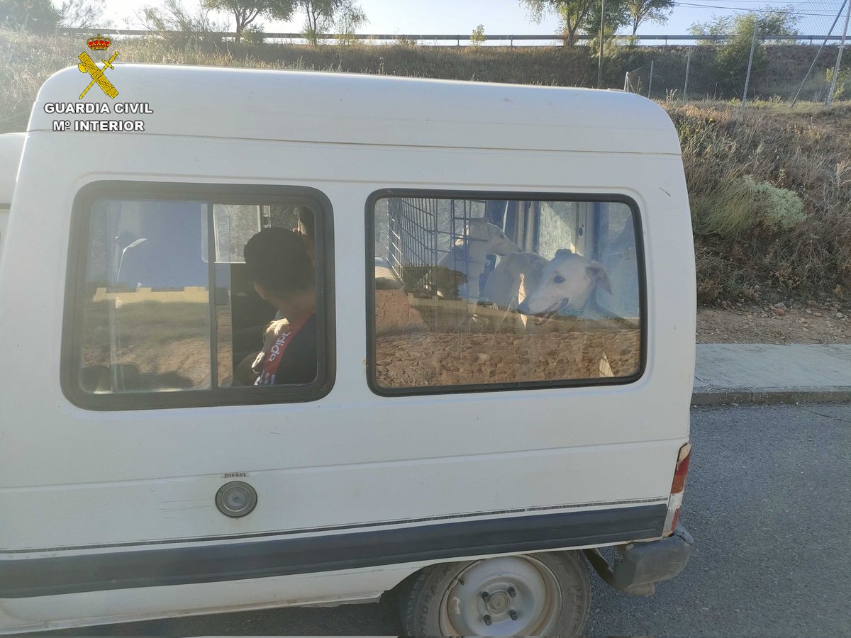 GuardiaCivilGU's tweet image. Sorprendidos por caza furtiva con galgos en el término municipal de #Quer

👉 Fueron identificados después de darse a la fuga al percatarse de la presencia de los agentes 🚨👮‍♀️👮del #Seprona

👉 Se encontraban cazando ilegalmente en una Zona de Especial Protección de aves 🦅