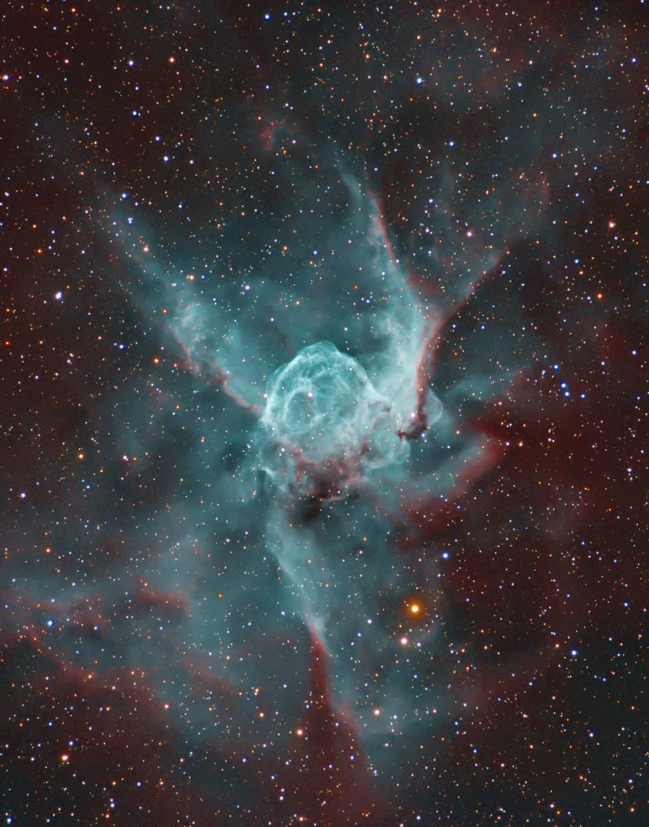 📷 NGC 2359: Thor’s Helmet  NGC 2359 is a helmet-shaped cosmic cloud with wing-like appendages popularly called Thor’s Helmet. Heroically sized even for a Norse god, Thor’s Helmet is about 30 light-years across. In fact, the helmet is more like... tmblr.co/ZUWQCn2gJD8ml