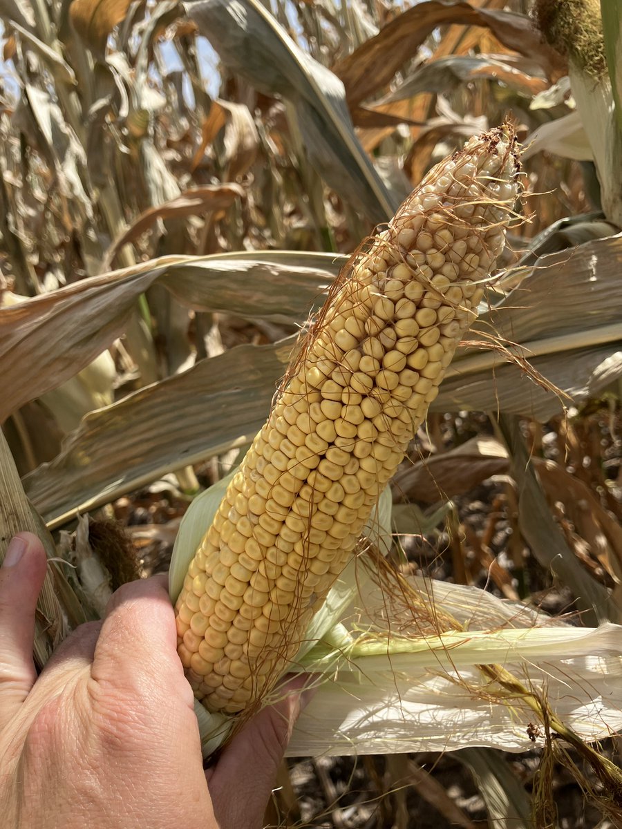 Craig Dinkel tweet media