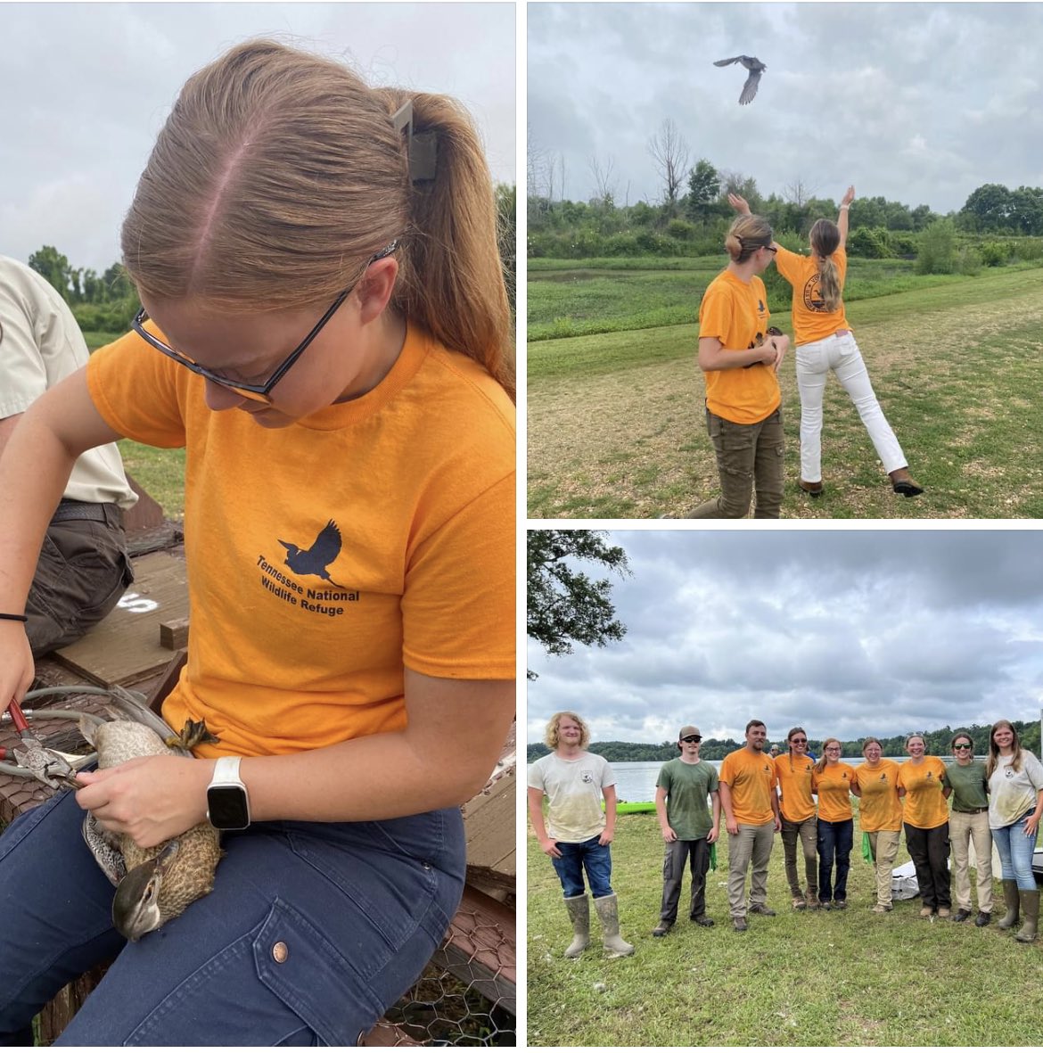 SkyhawkAggie's tweet photo. Thanks to the U.S. Fish and Wildlife Service (West Tennessee National Wildlife Refuge Complex) for providing internships to these UT Martin Natural Resources Management students this summer. #highimpactlearning https://t.co/3N6rPujWo3
