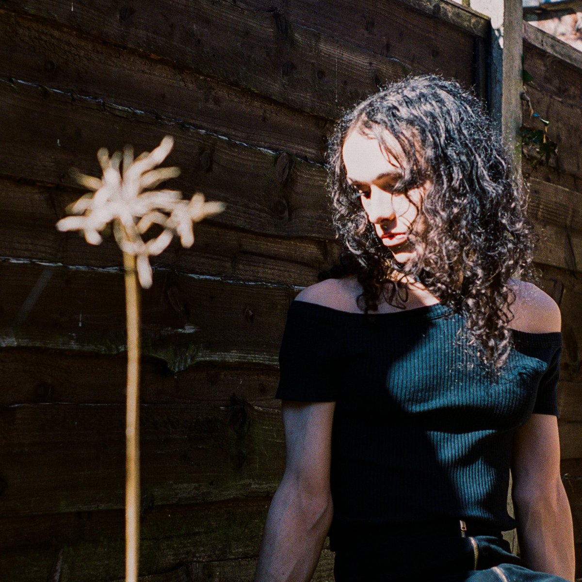 PHIA SKY tweet media