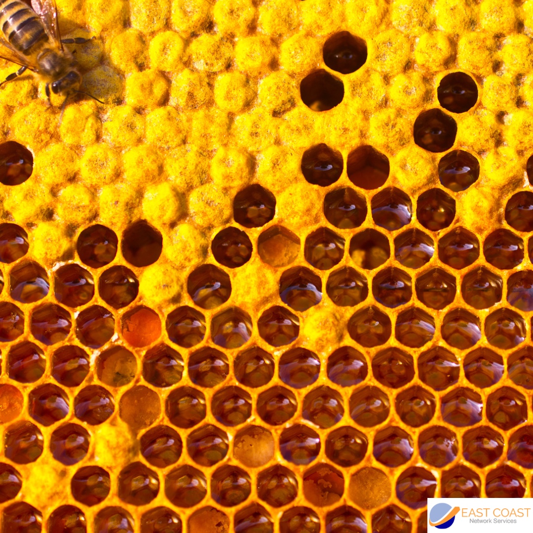 ECNETSERV's tweet image. Do you have a brand story? Telling your brand story is an excellent way to connect with your prospects and shape your image. Find out how Burt’s Bees found success with their brand story: ow.ly/UFj230rPNS6 #marketingmonday #smallbusinessmarketing
