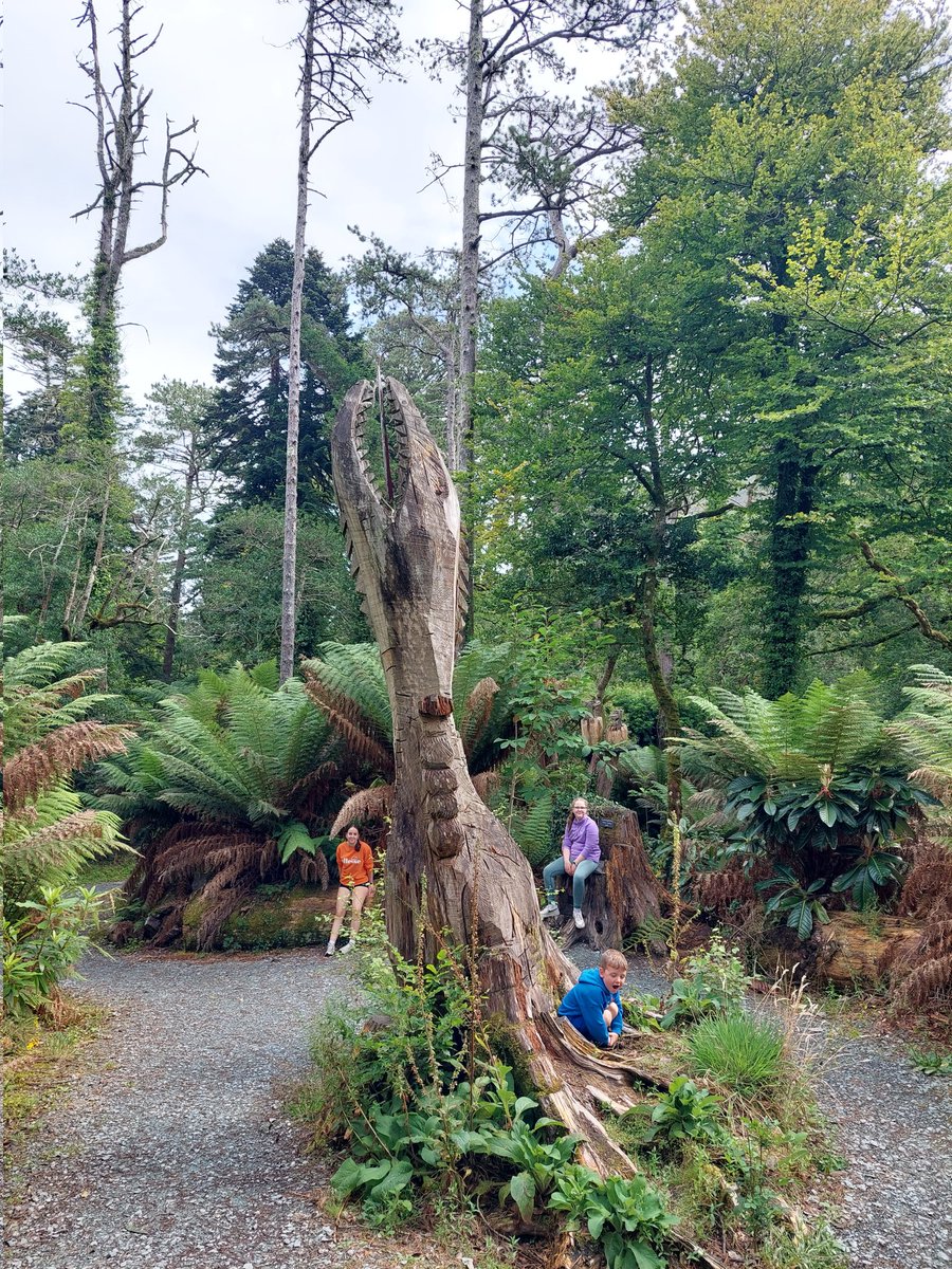 GardenerGareth's tweet photo. Another WOW moment on the Ring of Kerry today....Kells Bay House & Gardens...just awesome!!!
#RingOfKerry #KellsBay #CountyKerry #Horticulture https://t.co/Tqydg1MxU4