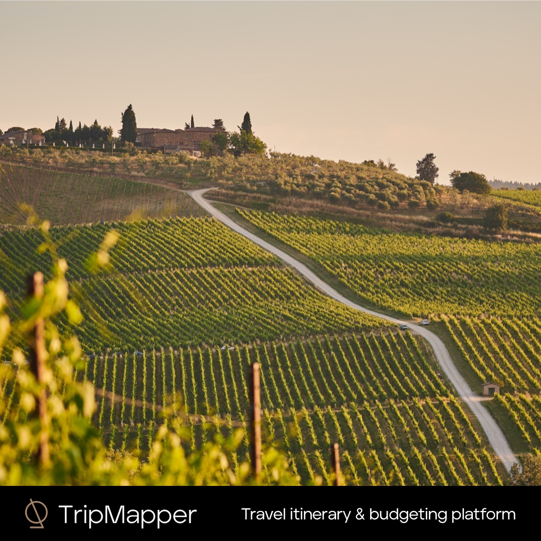 TripMapper tweet media