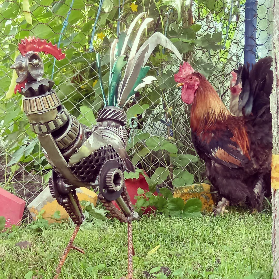 OLBOgroup's tweet photo. #scrapmetalcock #rooster #metalart #intigwetrust 😎👨🏽‍🏭🌎🐓 https://t.co/N0J4F3QFUs