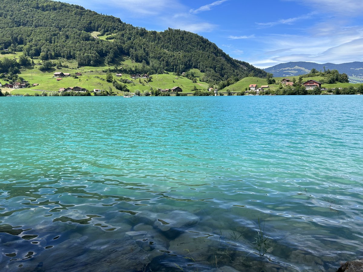 Rafael Dix-Carneiro tweet media