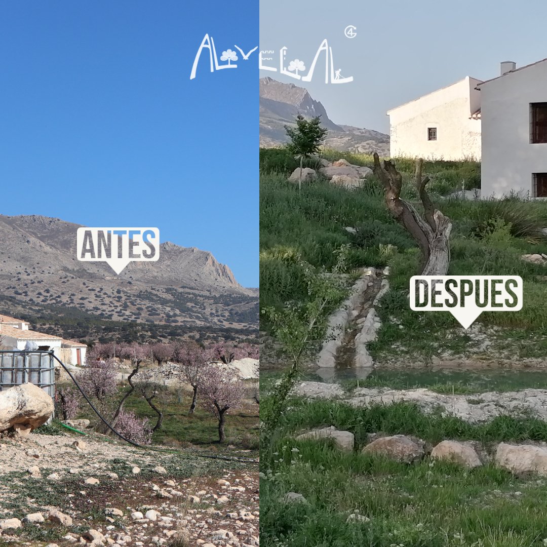 AlVelAl_4R's tweet photo. Estamos emocionados/as por los resultados que hemos obtenido hasta ahora, pero nuestra misión no ha terminado. 
Seguiremos trabajando arduamente para promover la agricultura regenerativa y construir un futuro sostenible en nuestras hermosas comarcas. https://t.co/nUQQp6t3KX