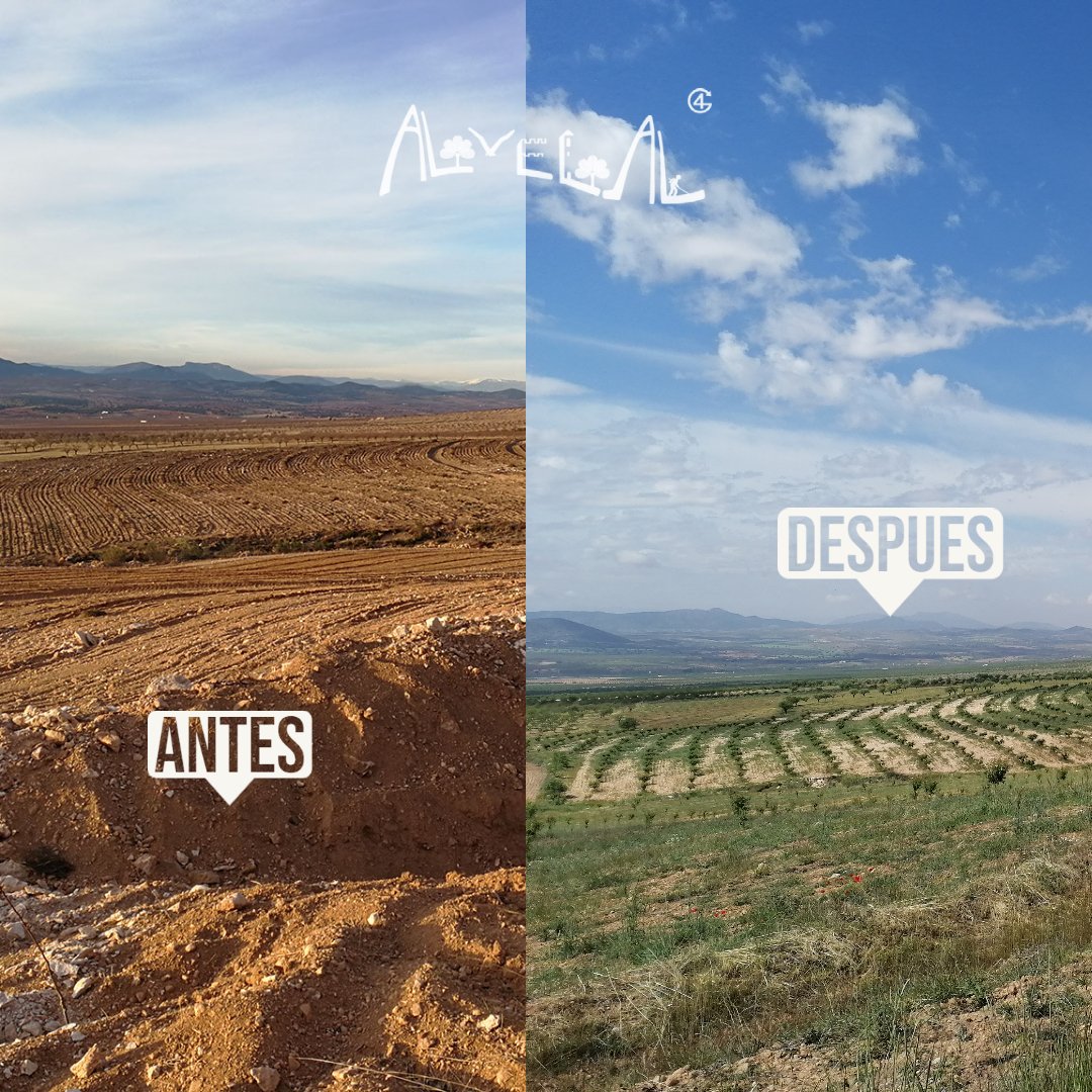 AlVelAl_4R's tweet photo. Estamos emocionados/as por los resultados que hemos obtenido hasta ahora, pero nuestra misión no ha terminado. 
Seguiremos trabajando arduamente para promover la agricultura regenerativa y construir un futuro sostenible en nuestras hermosas comarcas. https://t.co/nUQQp6t3KX