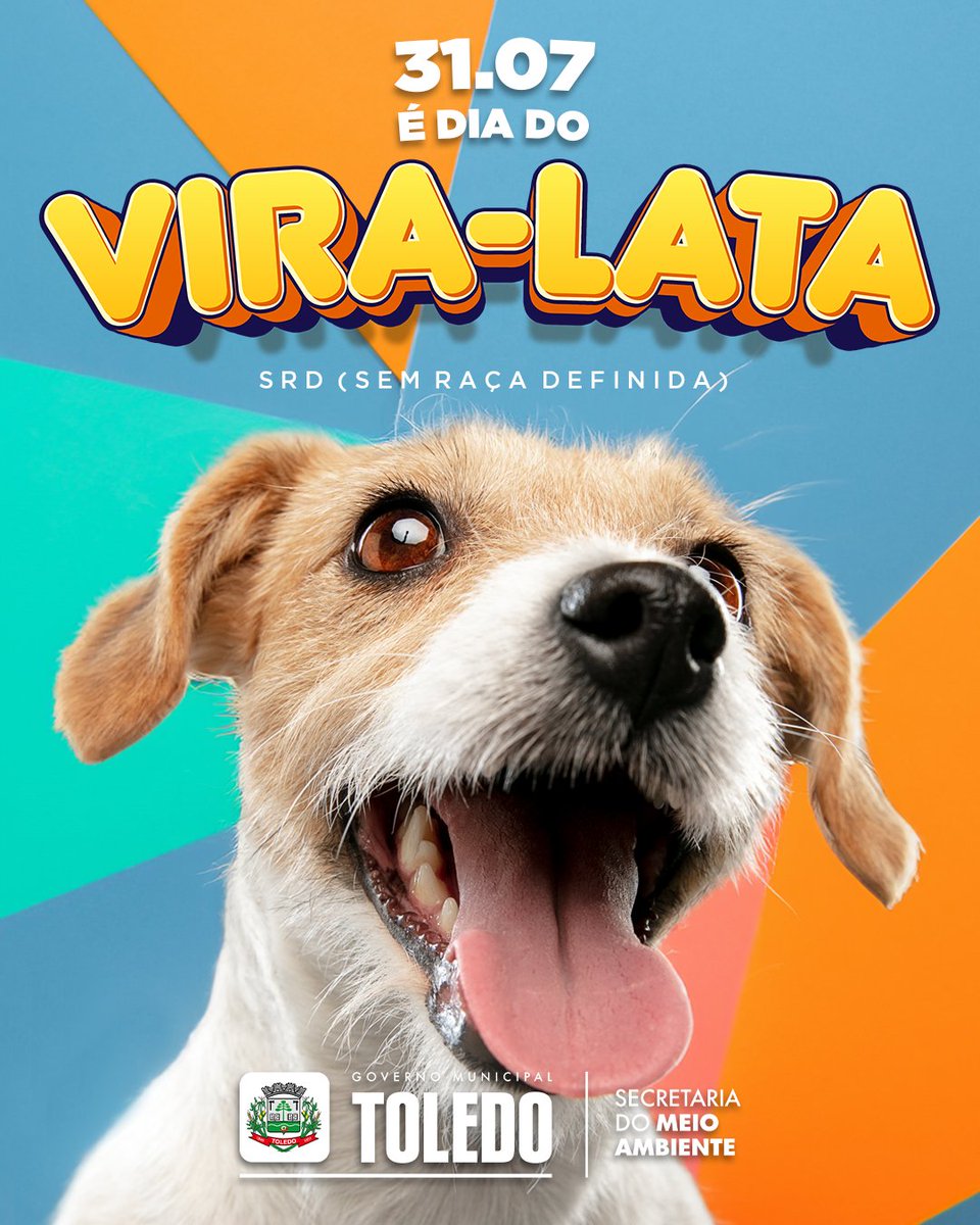 PrefsdeToledo's tweet photo. 🐶❤️ Hoje é o Dia do Vira-Lata, uma data para celebrar o amor e a dedicação pelos nossos AUmigos de quatro patas que muitas vezes são esquecidos. https://t.co/niK3fV8VNX
