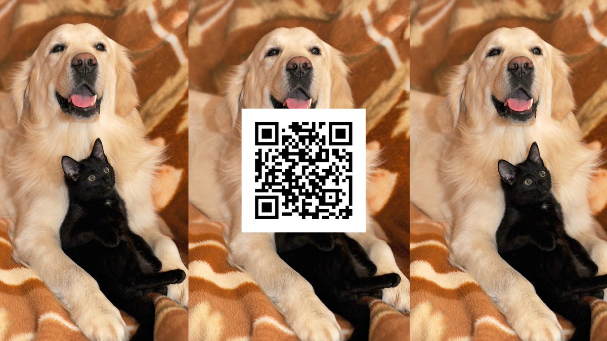 🐱 The SA Live Question of the Day is about our furry friends! 🐶 Scan the QR code to vote or CLICK HERE >> bit.ly/3NUwxGM?utm_so…