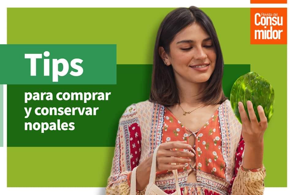 Profeco's tweet photo. 🌵Esta Temporada consume Nopal, ya que ayuda a eliminar el colesterol elevado y controla el exceso de ácidos gástricos, protege la mucosa gastrointestinal y previene las úlceras.
🛒Sigue nuestros #TipsProfeco al comprar y conservar nopales.💚
#ComeSaludable https://t.co/UpMmmw8Uec