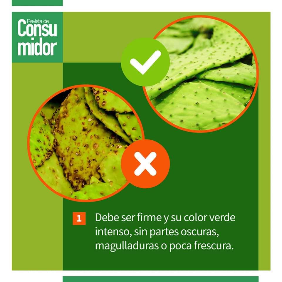 Profeco's tweet photo. 🌵Esta Temporada consume Nopal, ya que ayuda a eliminar el colesterol elevado y controla el exceso de ácidos gástricos, protege la mucosa gastrointestinal y previene las úlceras.
🛒Sigue nuestros #TipsProfeco al comprar y conservar nopales.💚
#ComeSaludable https://t.co/UpMmmw8Uec