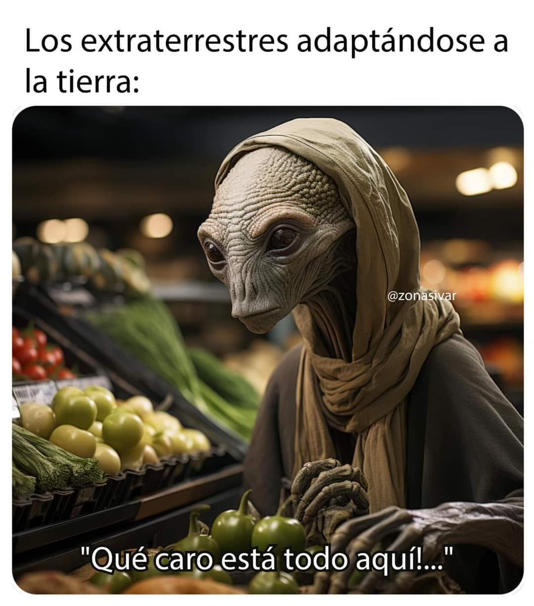 IguanaGozi's tweet photo. Ta cara la lechuga y el cilantro... https://t.co/doAy30I7q5