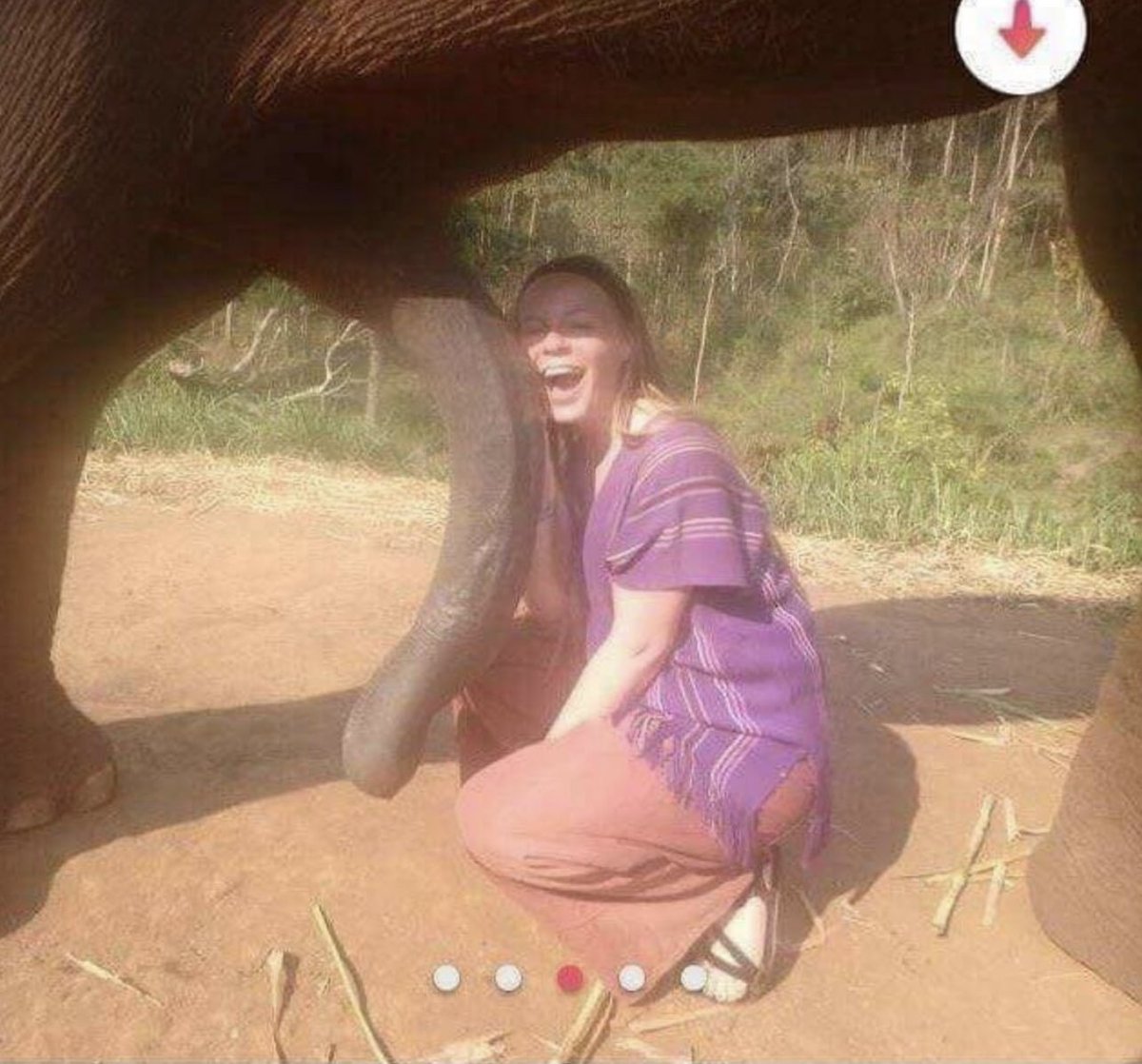 Alguém que lhe diga que aquilo não é a tromba 🐘