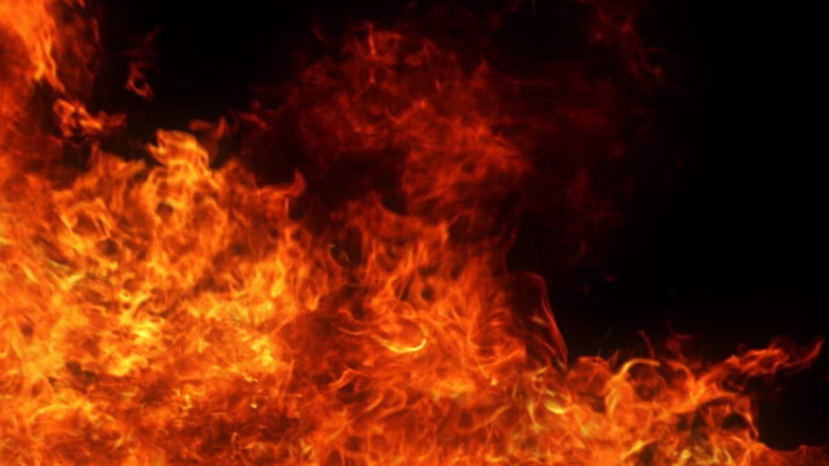 NewsTalk780KOH's tweet photo. Firebug? It's not your imagination, Reno has had a series of small fires ~ perhaps deliberately set ~  incl. this morning at Fisherman's Park. The @RenoFireDept has ruled out electrical &amp; homeless fires...their investigation continues. https://t.co/lsXP6LcoL7 #KOHNews #RenoNews https://t.co/gbmYmL2QAR