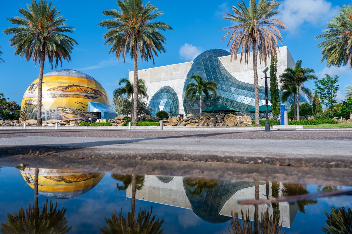 Visit St. Pete-Clearwater tweet media