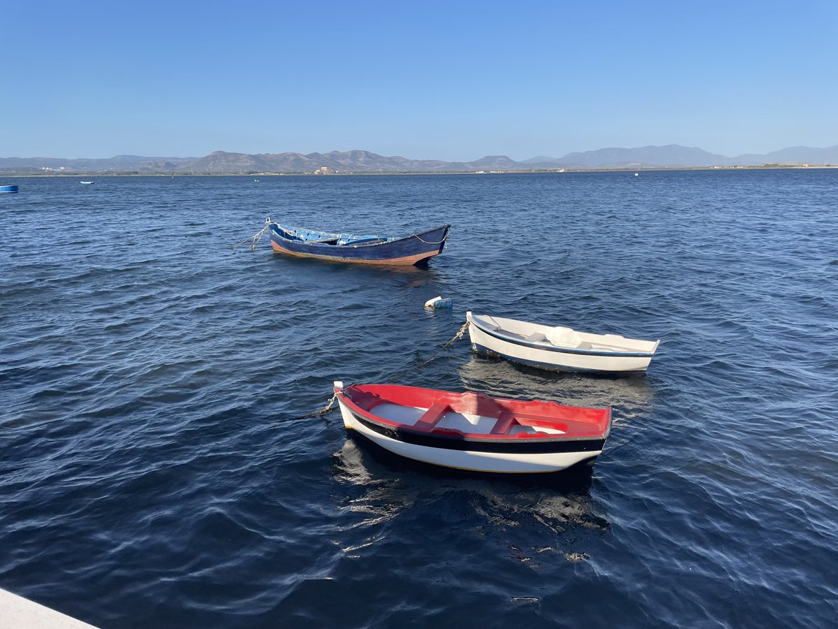 terraeolio's tweet photo. Barchette nell’isola dell’isola https://t.co/JlPcae6jdx