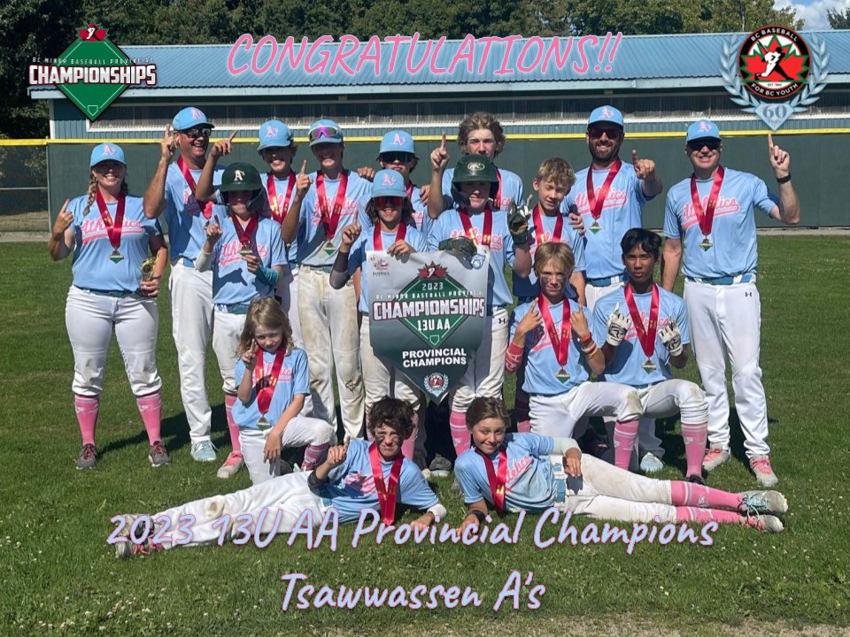 BC Minor Baseball Association tweet media