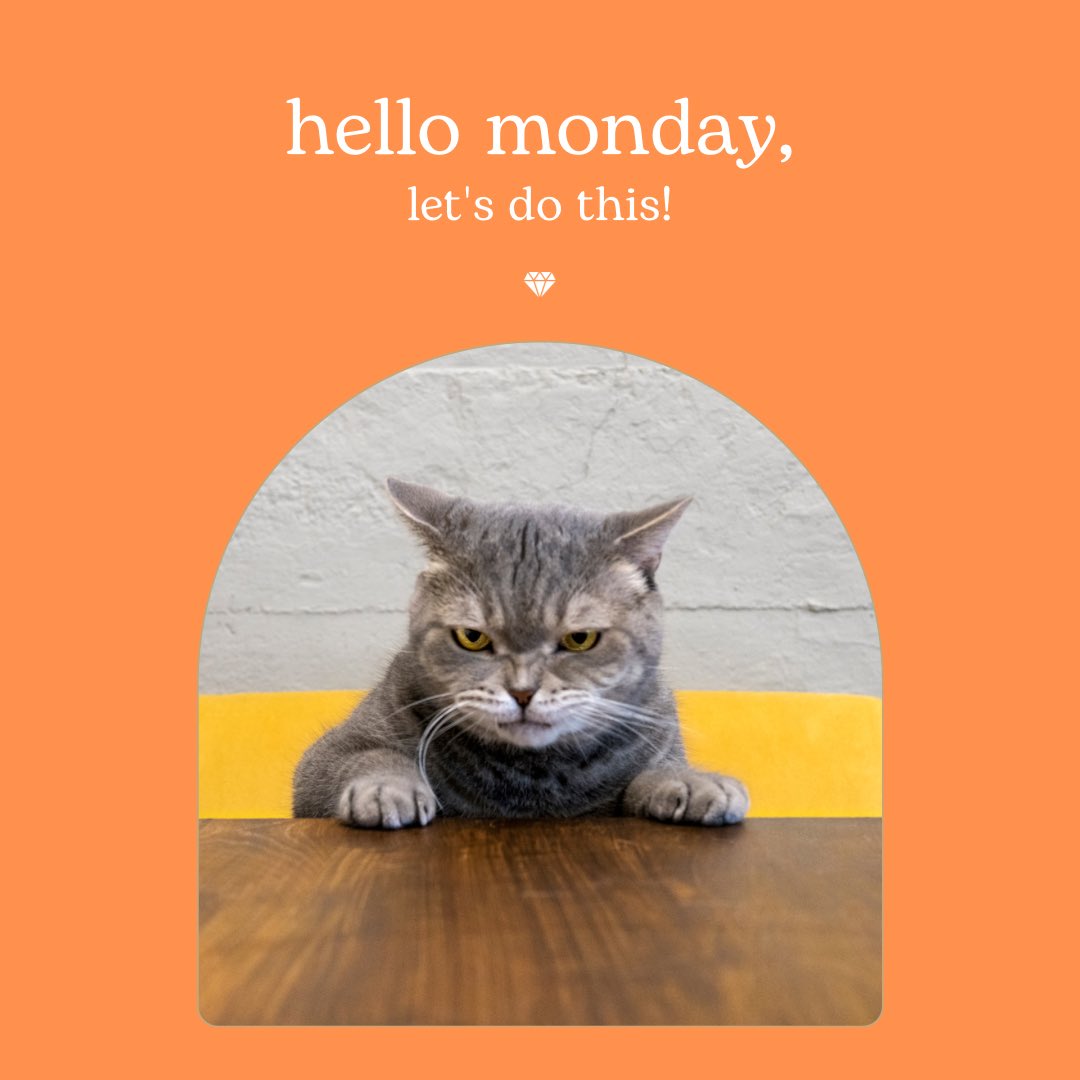 LLR_Theresa1's tweet image. Starting off Monday like… #grumpy #tryingtobepositive #hopingforthebest #needagoodday