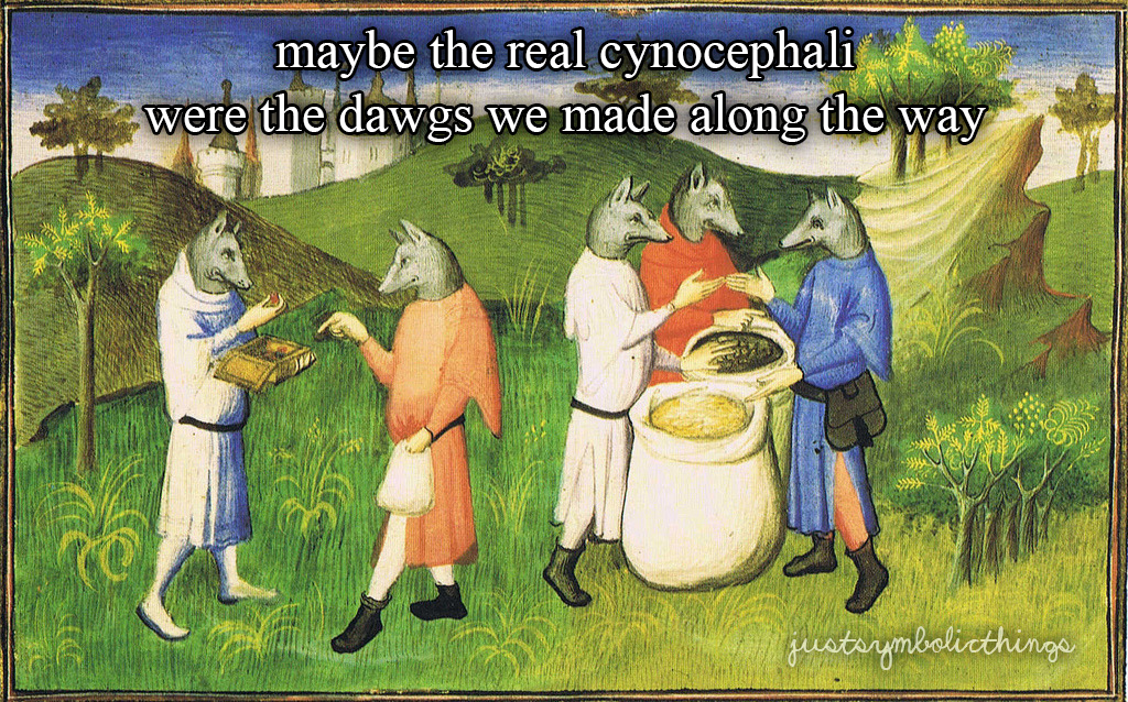 symbolicmemez's tweet photo. https://t.co/LtpTCMfBZl