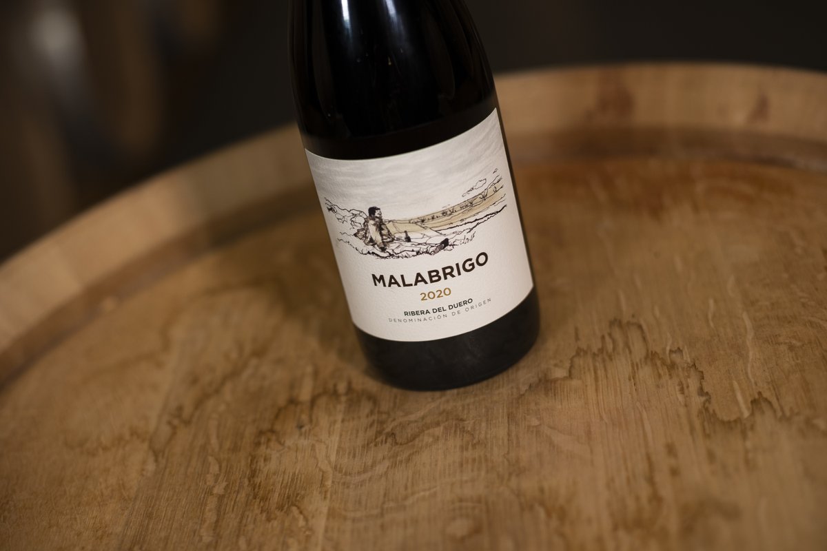 José Moro tweet media