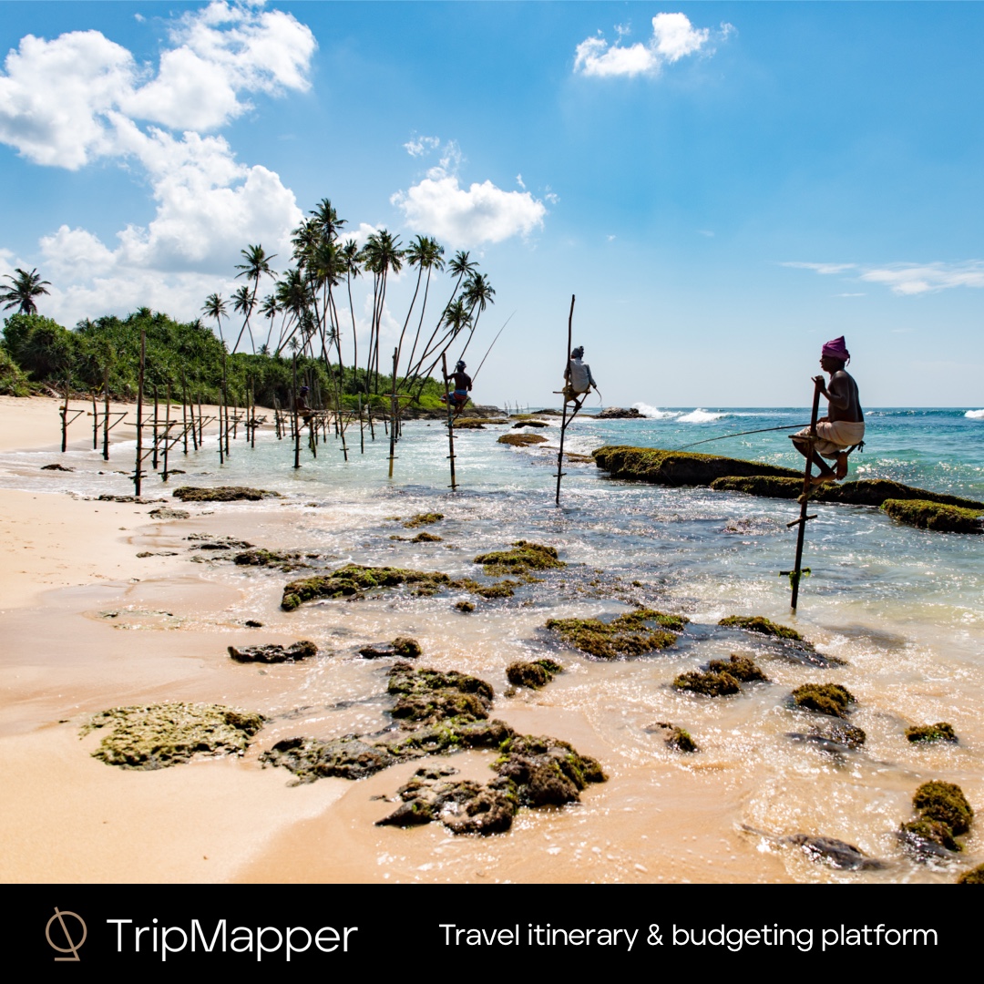 TripMapper tweet media