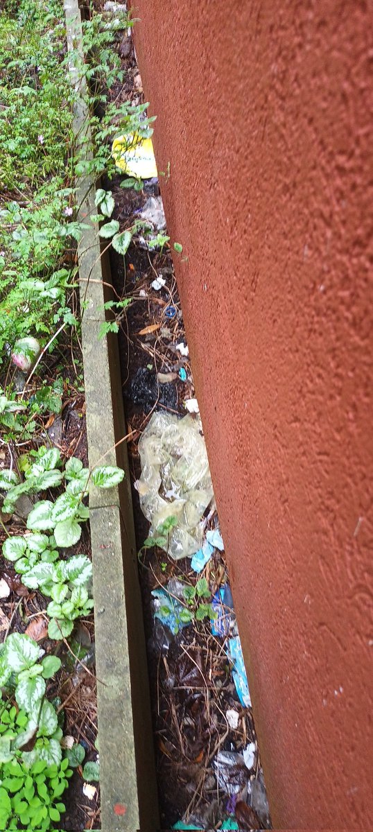 Street Solve tweet media