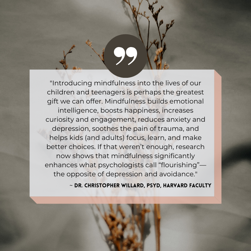 'Introducing mindfulness into the lives of children & teenagers is perhaps the greatest gift we can offer. Mindfulness builds emotional intelligence, boosts happiness, increases curiosity & engagement, reduces anxiety & depression & soothes the pain of trauma.' 💚 @drchriswillard