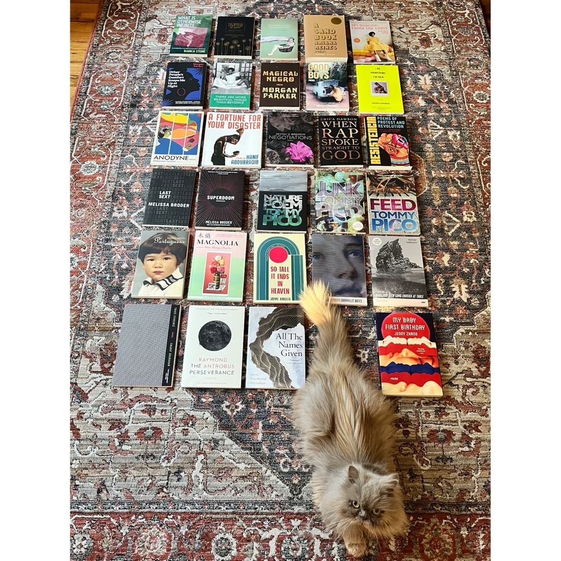 Tin_House's tweet image. The @sealeychallenge starts tomorrow - and there is 1 Tin House poetry book for every day in August!

Who&apos;s ready to read them all!?!✨📚

#thesealeychallenge #sealeychallenge #thesealeychallenge2023 #poetry