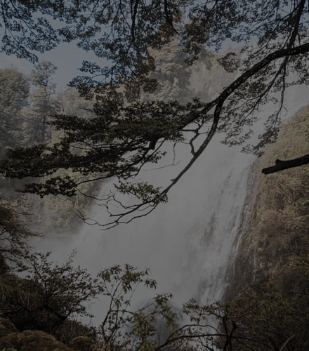 ⠀⠀⠀              
                    the new adventures of
                    the carneiro-diaz family.               
⠀⠀⠀