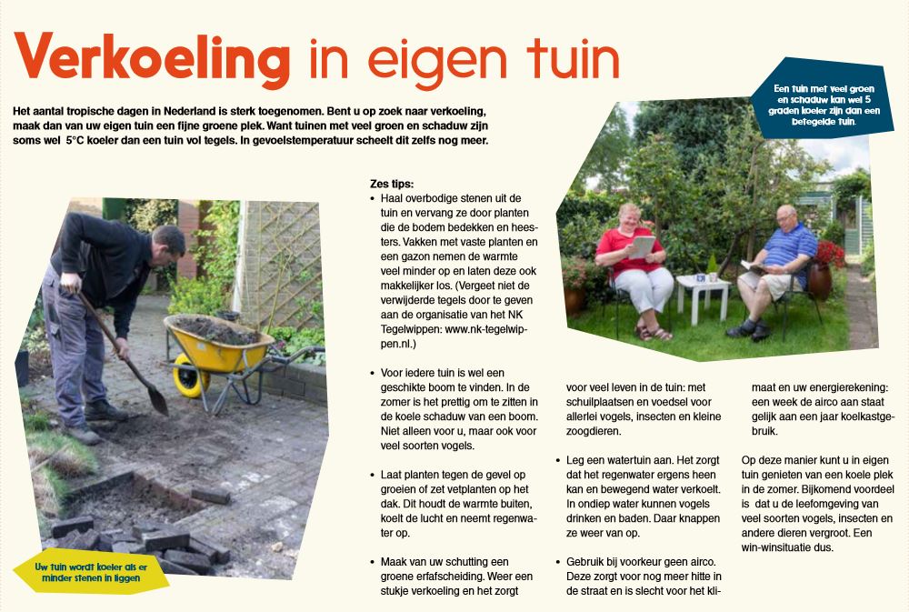 Een tuin met veel groen en schaduw kan wel 5 graden koeler zijn dan een betegelde tuin! Nieuwsgierig hoe en wat? Lees deze tips vanuit het Stadsnieuws van Gemeente Den Helder. 🌳