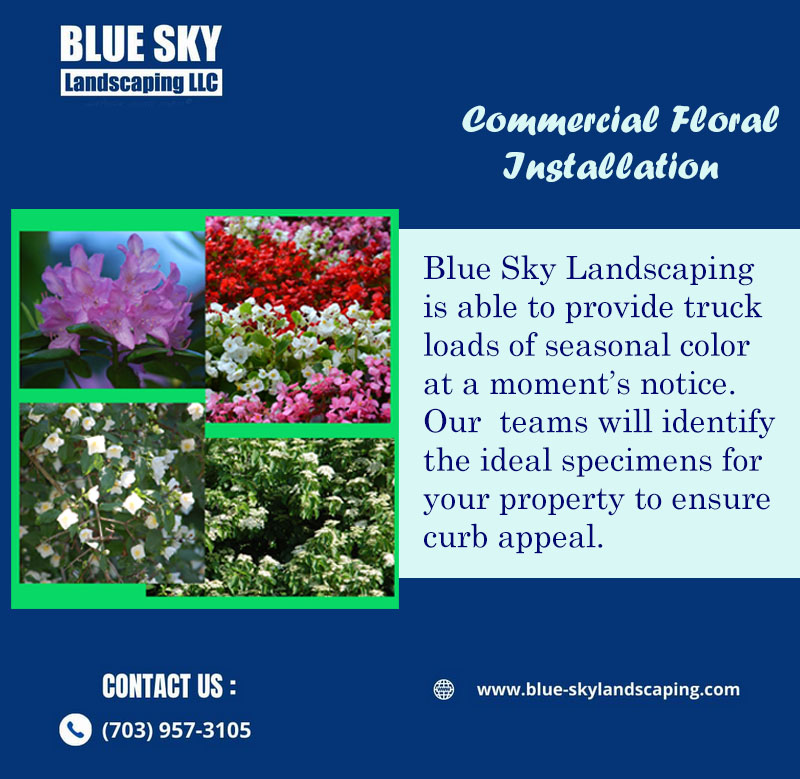 BlueSkyLScaping's tweet photo. With unmatched expertise and impeccable design aesthetic, our talented florists create custom installations that truly showcase the beauty of nature.
Call us, let's talk about your ideas.
https://t.co/B5hgTQyj2U
#landscaping #commercialservice #floralinstallation https://t.co/Y3we4J5p5h