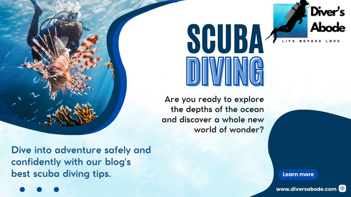 DiversAbode's tweet photo. Dive into an unforgettable underwater adventure with our blog, sharing the best scuba diving tips for a safe and exhilarating experience! 
Visit:https://t.co/eA5osI7gsO 
#ScubaDiving #UnderWater https://t.co/HIDKkJOB2M