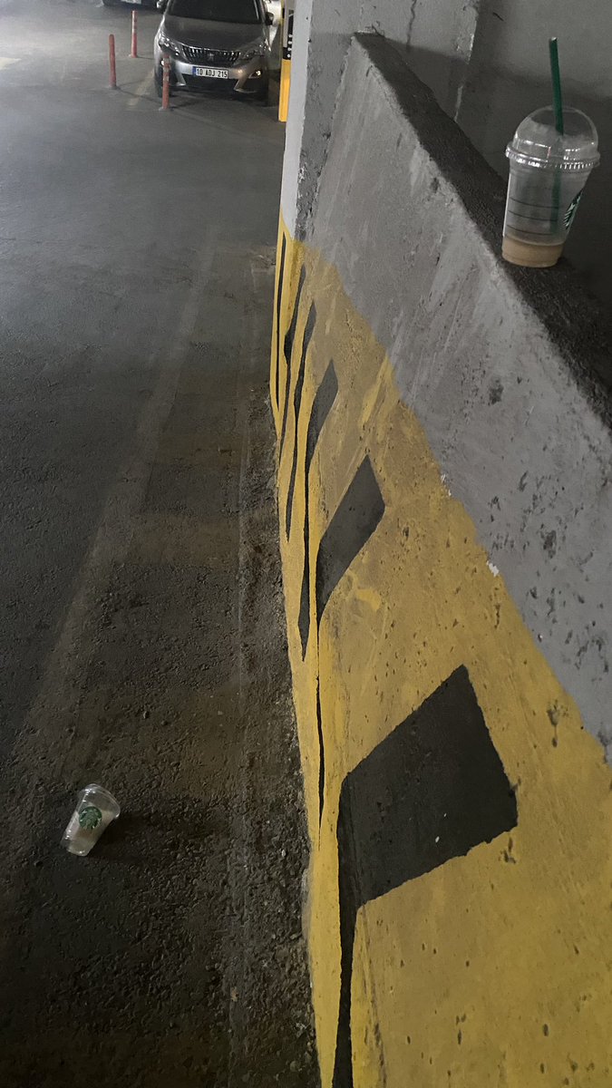 elifdayann's tweet photo. Kahvenizi içerken insandınız da çöpünüzü ortalığa bırakırken insanlığınızı da bırakmışsınız Gülden hanım ve arkadaşı. https://t.co/dEdWcAFtAq