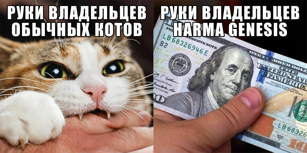 Evaneskate tweet media