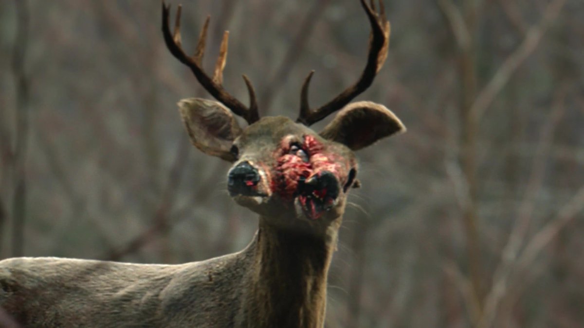 archivesthe100's tweet image. 