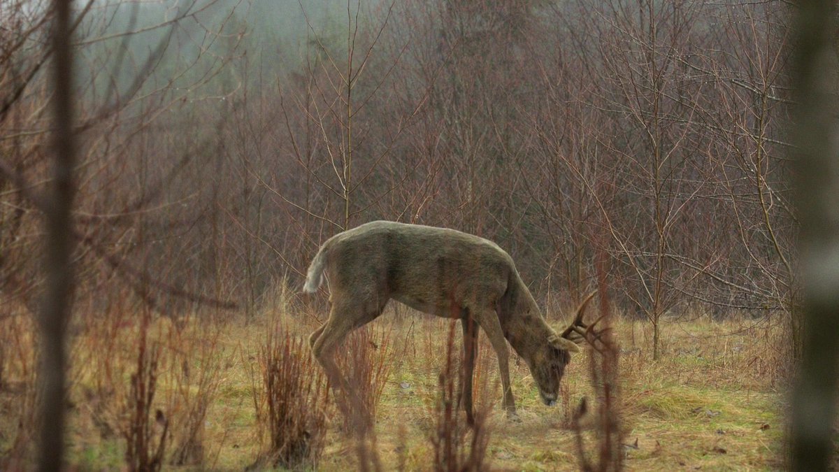 archivesthe100's tweet image. 