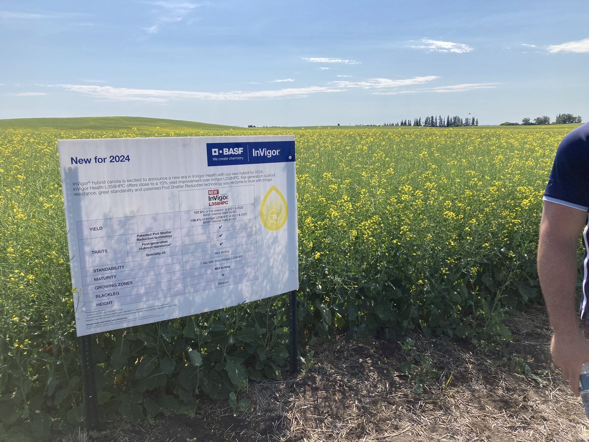Was great to get out and tour the new #InVigor health hybrid is doing. Looking forward to this one next year!