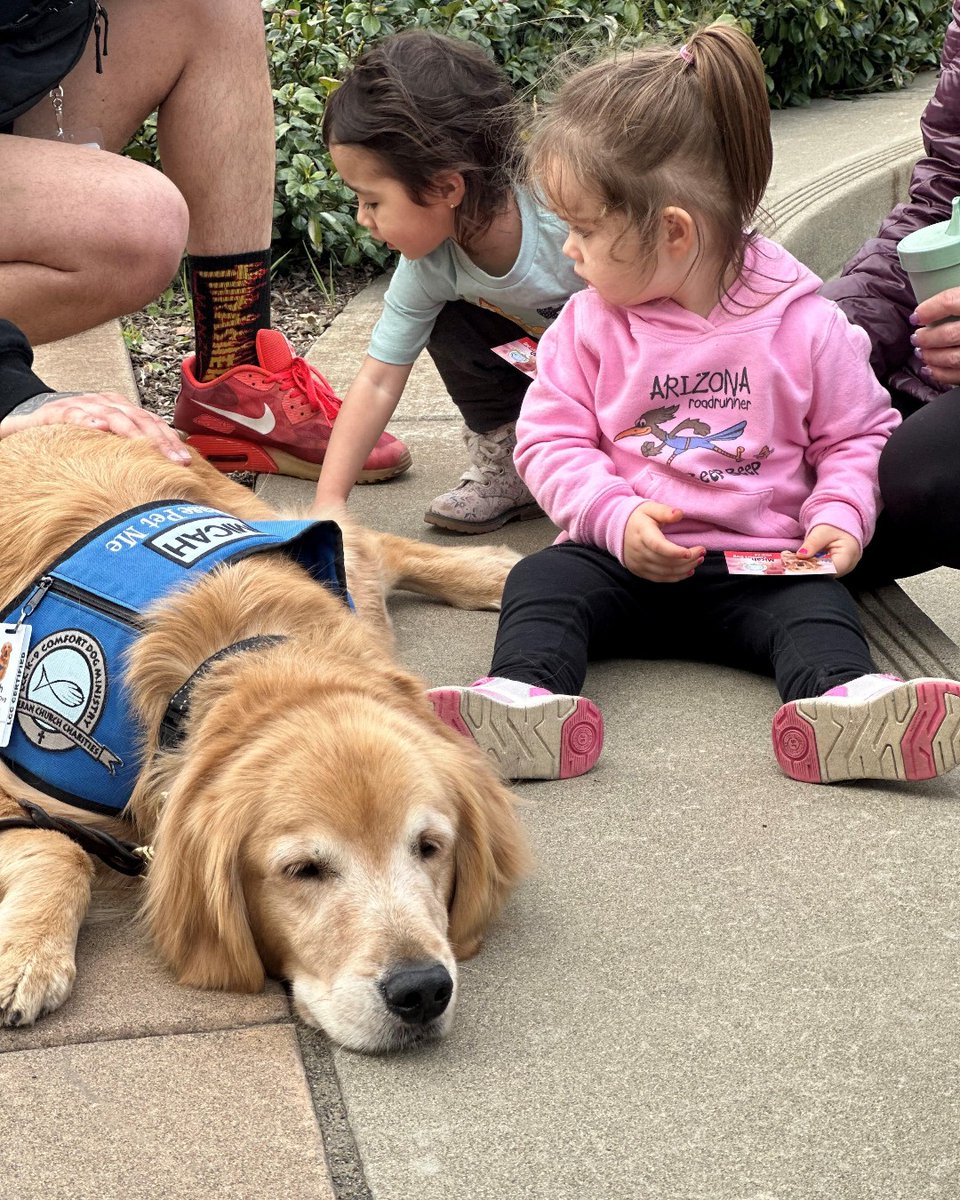 RMHCNC's tweet photo. Thanks for always brightening up our Mondays, Micah! 

#rmhcnc #rmhc #forrmhc #keepingfamiliesclose #homeawayfromhome #comfortpet #comfortdog #motivationmonday #ronaldmcdonaldhouse #ronaldmcdonaldhousecharities https://t.co/LgQBLZnMWx