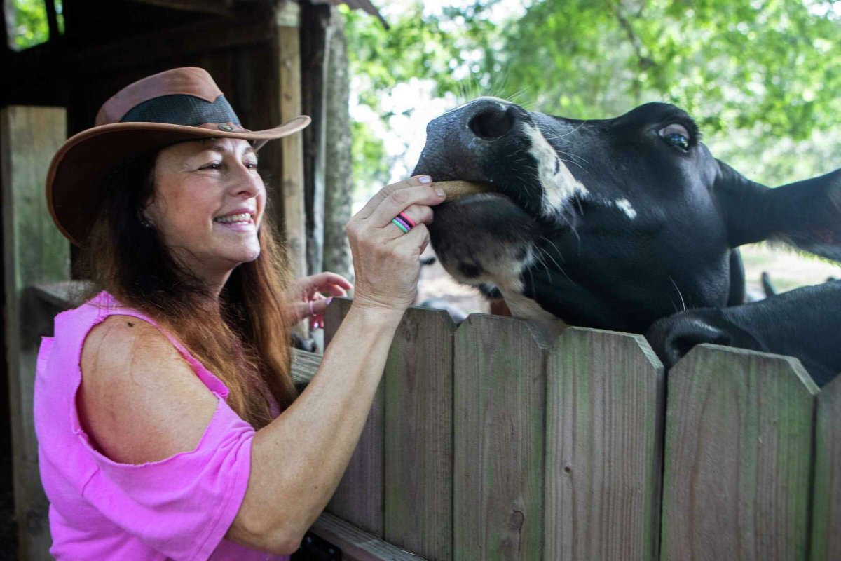 Good Vibe Farm in Tomball lets families interact with rescued farm animals dlvr.it/St0mWH