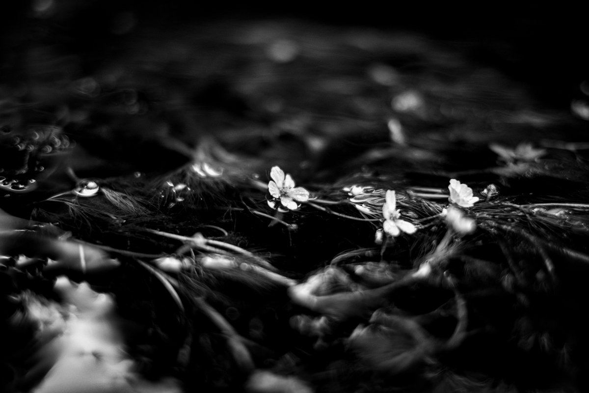 almightygenera1's tweet image. 