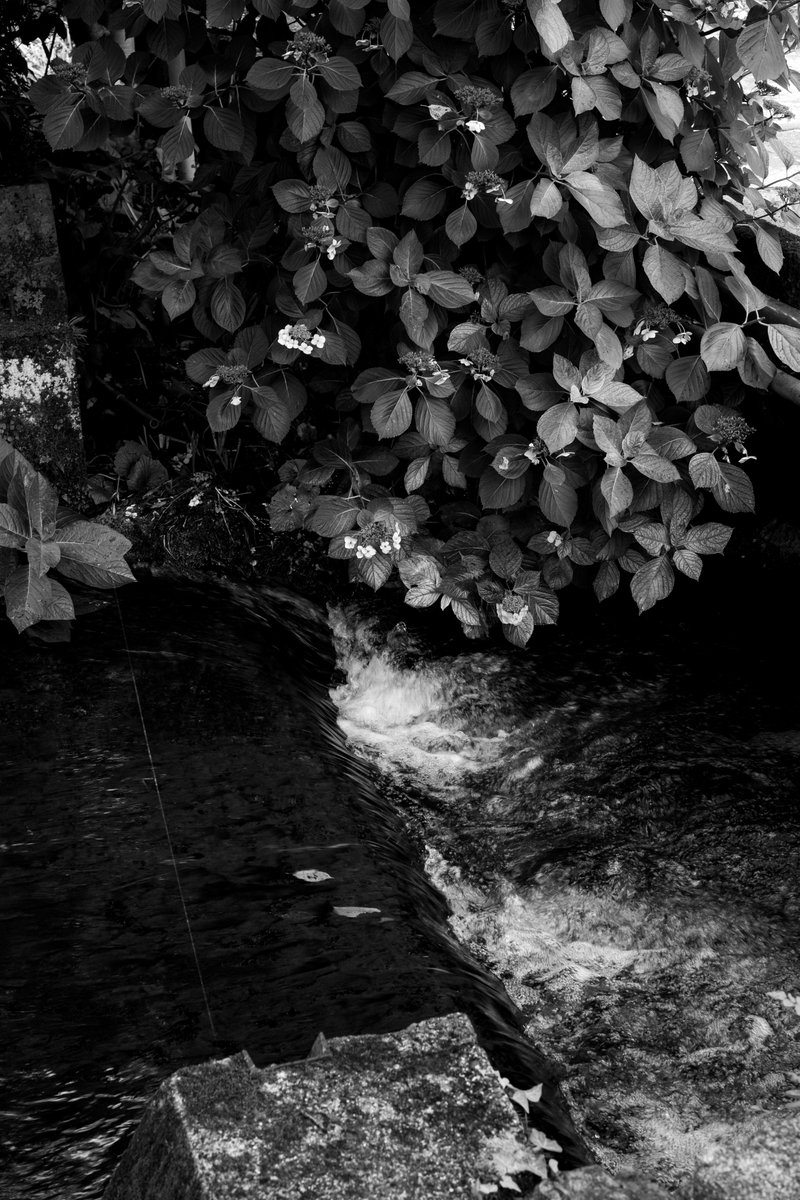 almightygenera1's tweet image. 